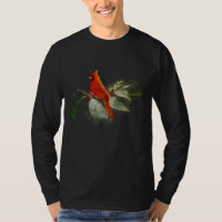 Pássaro Cardinal Vermelho Selvagem