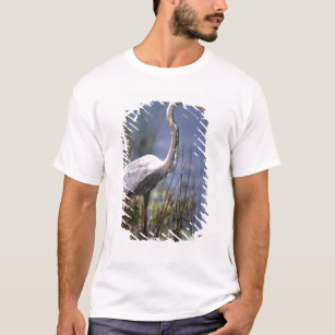 Camiseta Pássaro de água da garça-real de grande azul