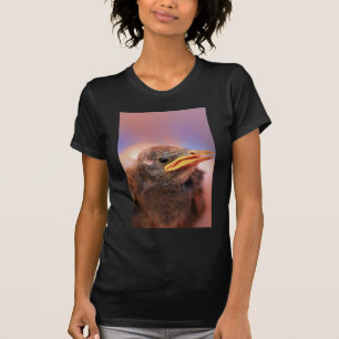 Camiseta Pássaro de bebê