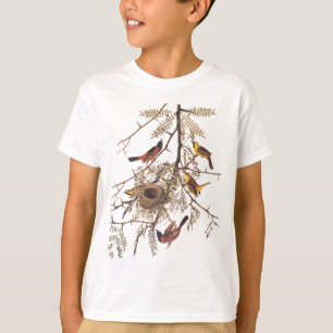 Camiseta Pássaro de Oriole de pomar de Audubon na árvore 