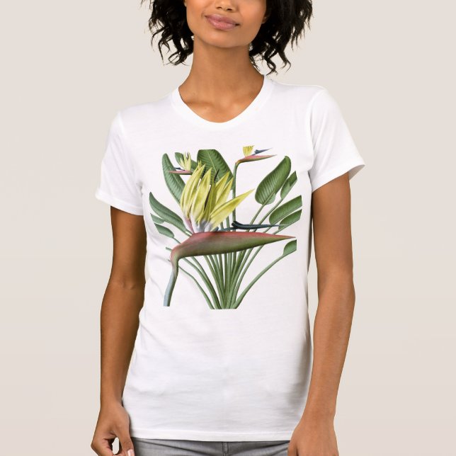 Camiseta Pássaro de paraíso (Frente)