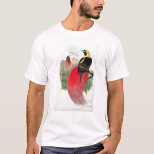 Camiseta Pássaro de paraíso, gravado por T. Walter