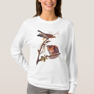 Camiseta Pássaro de Preia ruivo Hawk Audubon