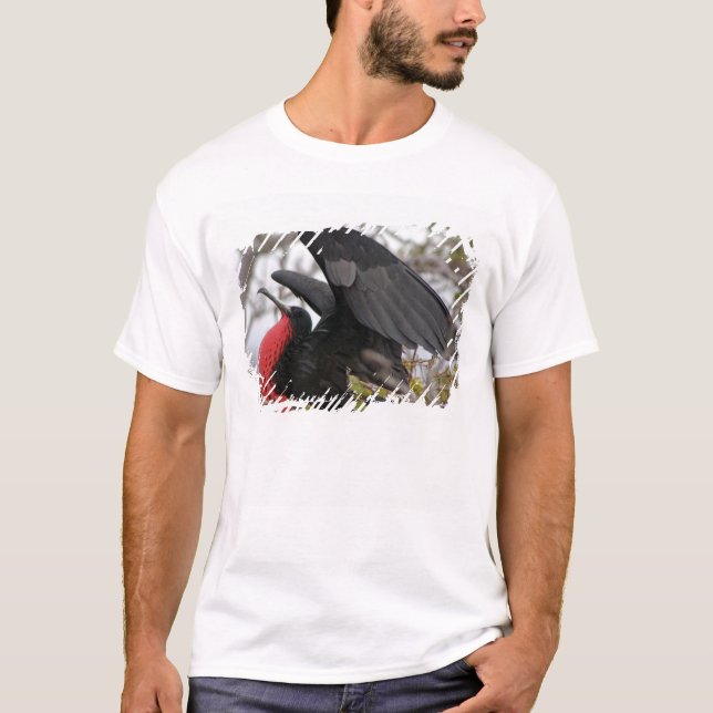Camiseta Pássaro Frigado magnífico (Frente)