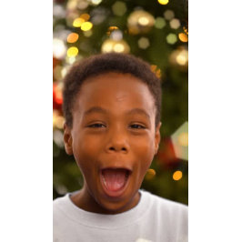 Camiseta Pássaro Kiwi bonito no Chapéu Elf de Natal, person