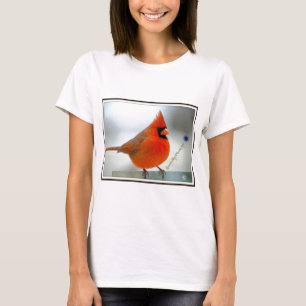 Camiseta Pássaro vermelho cardinal