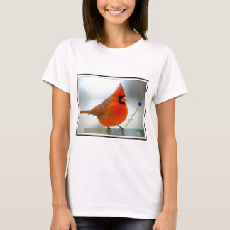 Camiseta Pássaro vermelho cardinal