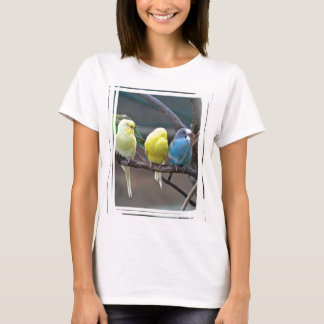 Camiseta Pássaros coloridos brilhantes dos papagaios | de