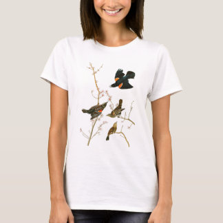 Camiseta Pássaros de John Audubon do melro do pântano de