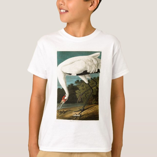 Camiseta Pássaros de John James Audubon do guindaste (Frente)