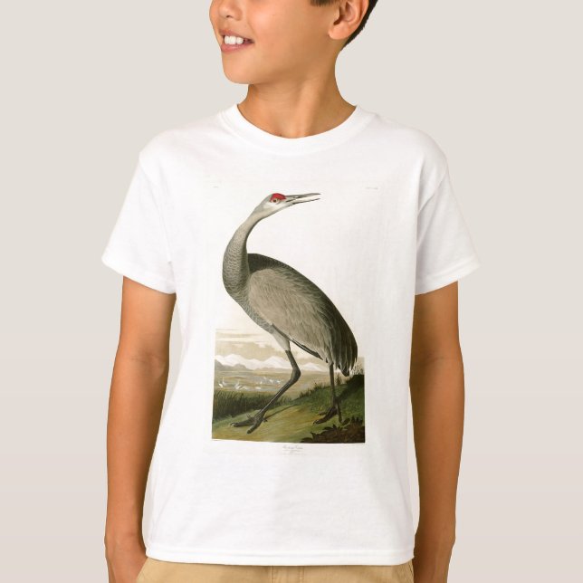 Camiseta Pássaros de John James Audubon do guindaste de (Frente)