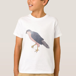 Camiseta Pássaros-gavião de Cooper — aquarela