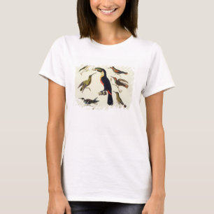 Camiseta Pássaros nativos, incluindo o Toucan (centro),