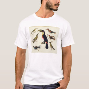 Camiseta Pássaros nativos, incluindo o Toucan (centro),