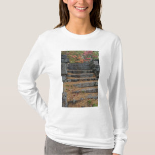 Camiseta Passos cobertos de agulhas de pinheiro, White Moun