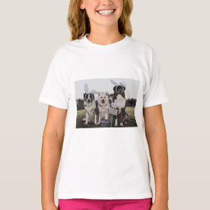 Camiseta Pastor australiano Aussie, Shepherd