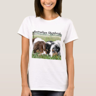 Camiseta Pastores australianos