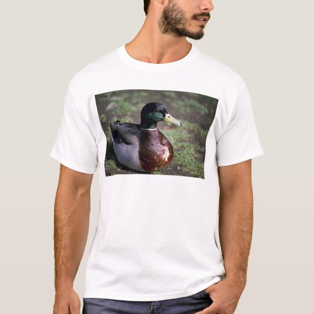 Camiseta Pato (Frente)