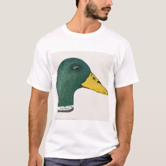 Camiseta Pato do pato selvagem (Drake), aguarela