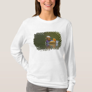 Camiseta Pato-mandarim-selvagem (Aix galericulata) no escur
