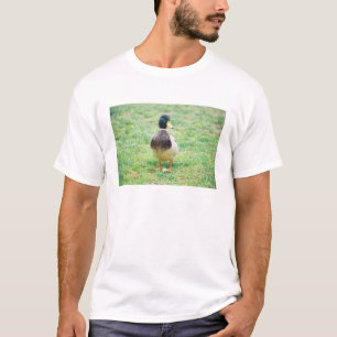 Camiseta Pato selvagem e coelho