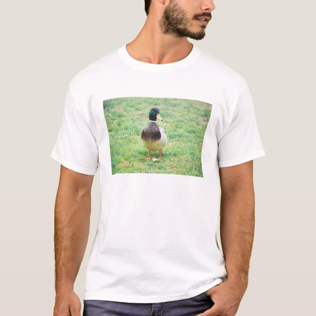 Camiseta Pato selvagem e coelho (Frente)
