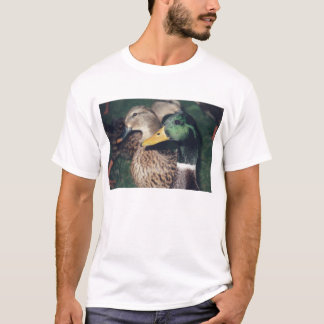 Camiseta patos
