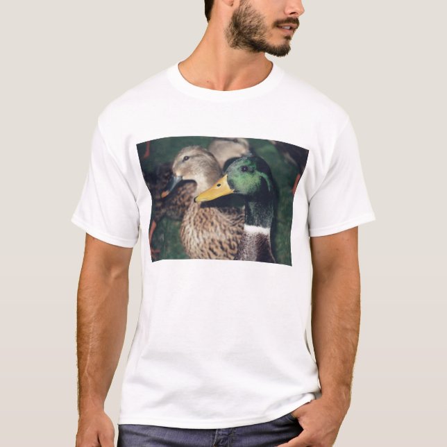Camiseta patos (Frente)