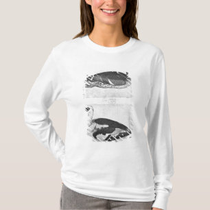 Camiseta Patos, o do álbum de Vallardi