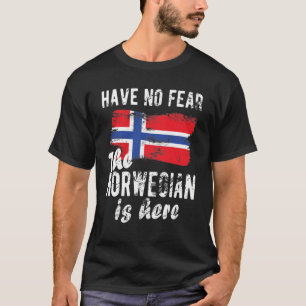 Camiseta Patrimônio Norueguês Noruega Raízes Norueguesas Ba
