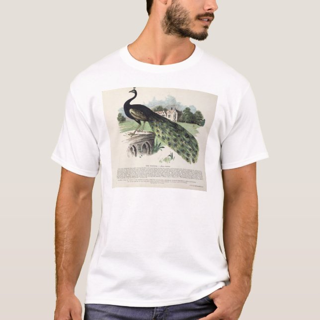 Camiseta Pavão (Frente)