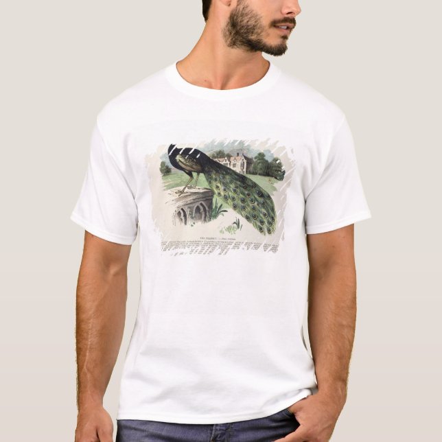 Camiseta Pavão (Frente)