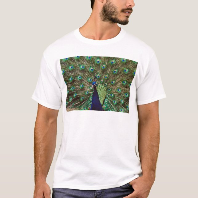 Camiseta Pavão (Frente)