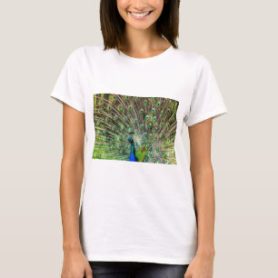 Camiseta Pavão
