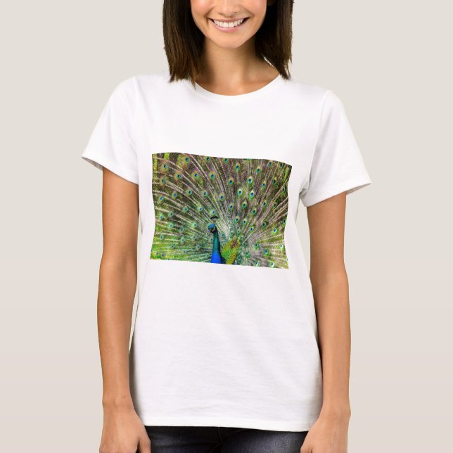 Camiseta Pavão (Frente)