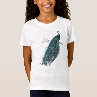 Camiseta Pavão azul com penas de cauda lindas