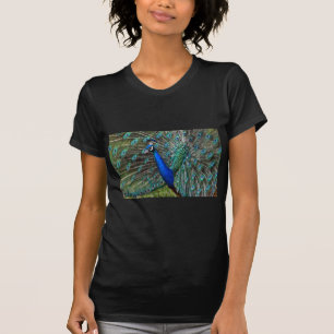 Camiseta Pavão masculino colorido