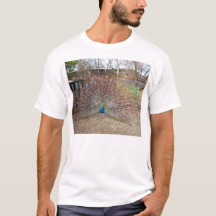 Camiseta pavão orgulhoso