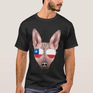 Camiseta Pavilhão chileno - Americano Cabelo sem Porco Chil