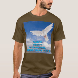 Camiseta Paz é liberdade na tranquilidade