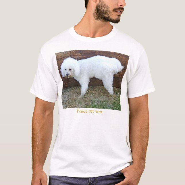 Camiseta Paz em você (Frente)