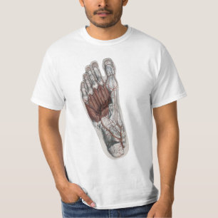 Camiseta Pé de Anatomia Humana Vintage Podologia