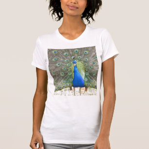 CAMISETA PEACOCK