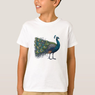 Camiseta Peacock bird Kids Basic T Shirt
