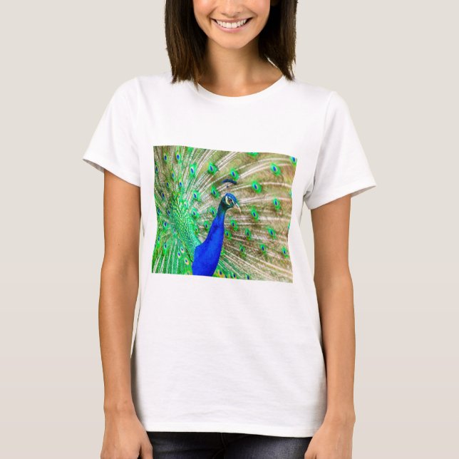 Camiseta Peacock Plumage (Frente)
