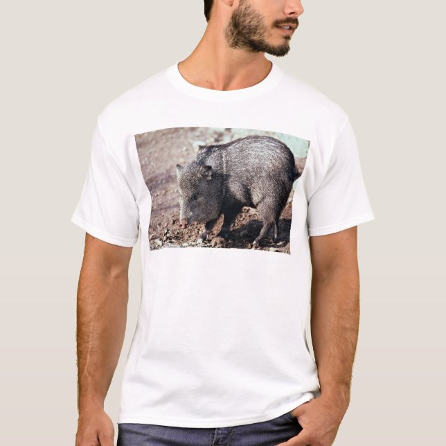 Camiseta Peccary colocado um colar (javelina) (Frente)