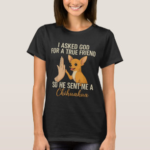 Camiseta Pedi a Deus um verdadeiro amigo e Ele me enviou um