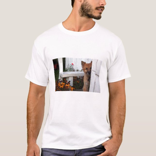 Camiseta peekaboo T (Frente)