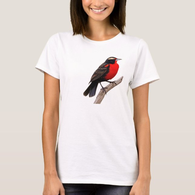 Camiseta peito-vermelho-grande (Sturnella defilippii), (Frente)