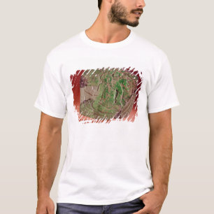 Camiseta Peitoral de um rei do local de Tikal, Guatemala